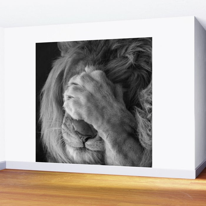 Even Lions Have Bad Days - The Lion Sleeps Tonight black and white photograph  Wall Mural Gallery Image 2