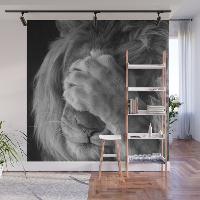 Even Lions Have Bad Days - The Lion Sleeps Tonight black and white photograph  Wall Mural Gallery Image 1