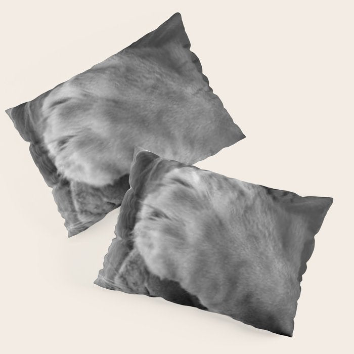 Even Lions Have Bad Days - The Lion Sleeps Tonight black and white photograph  Pillow Sham Gallery Image 3