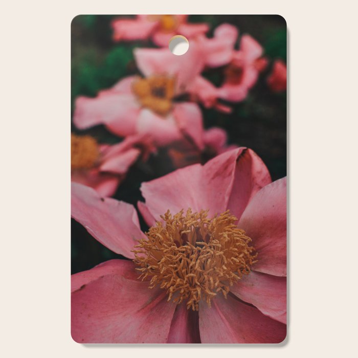 Pink Peony Flower Photographic Study 2 Cutting Board Gallery Image 1