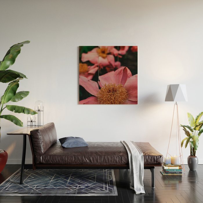 Pink Peony Flower Photographic Study 2 Wood Wall Art Gallery Image 2