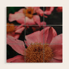 Pink Peony Flower Photographic Study 2 Wood Wall Art Gallery Image 1