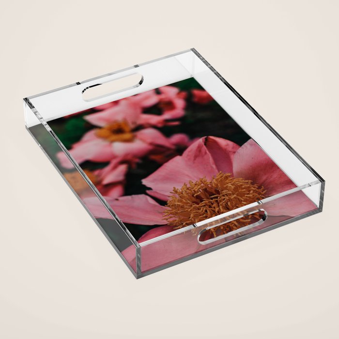 Pink Peony Flower Photographic Study 2 Acrylic Tray Gallery Image 1
