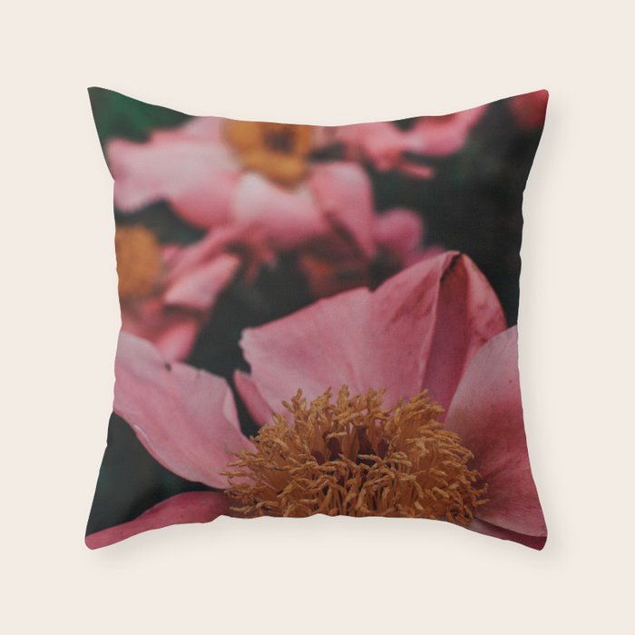 Pink Peony Flower Photographic Study 2 Throw Pillow Gallery Image 1