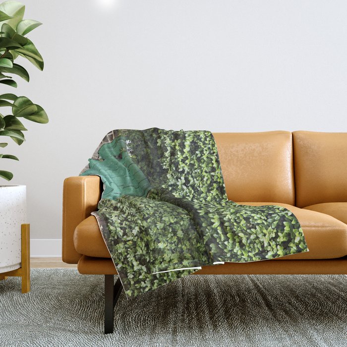 Savannah Georgia 321 Green Door Throw Blanket Gallery Image 1