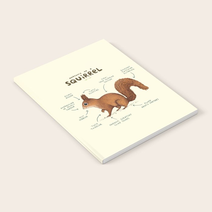 Anatomy of a Squirrel Notebook Gallery Image 2