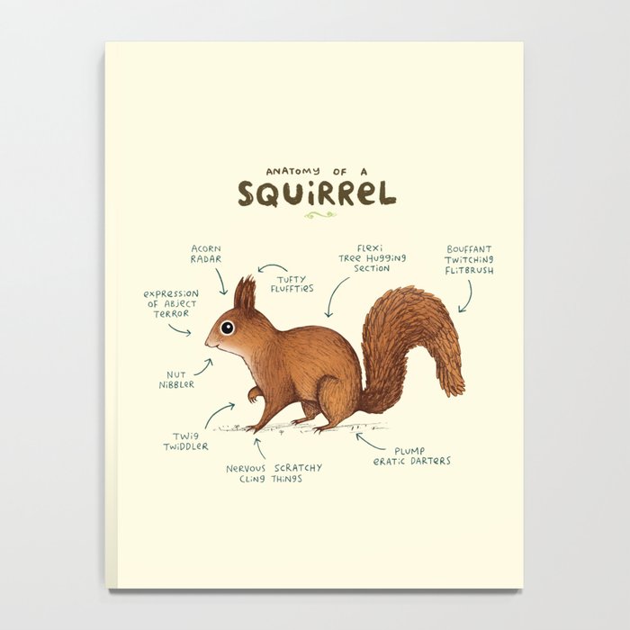 Anatomy of a Squirrel Notebook Gallery Image 4