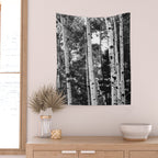 Aspen Forest - Black And White Nature Photography Wall Tapestry Gallery Image 2