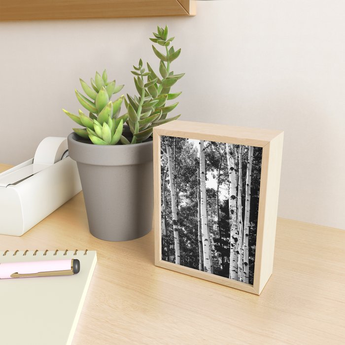 Aspen Forest - Black And White Nature Photography Mini Art Print Gallery Image 2