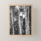 Aspen Forest - Black And White Nature Photography Mini Art Print Gallery Image 1