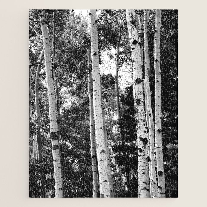 Aspen Forest - Black And White Nature Photography Jigsaw Puzzle Gallery Image 1
