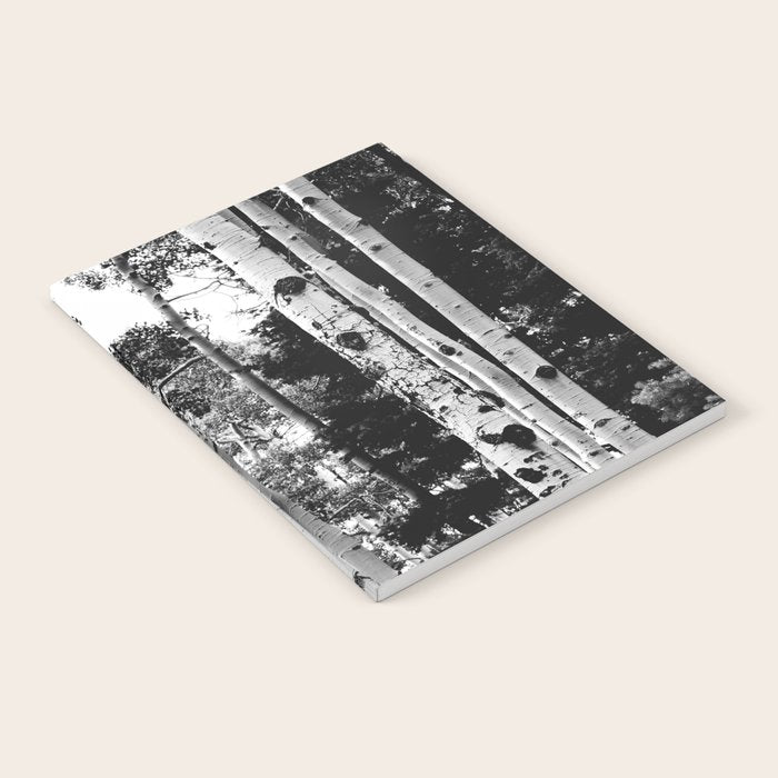 Aspen Forest - Black And White Nature Photography Notebook Gallery Image 2