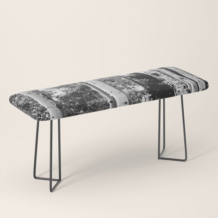 Aspen Forest - Black And White Nature Photography Bench Gallery Image 1