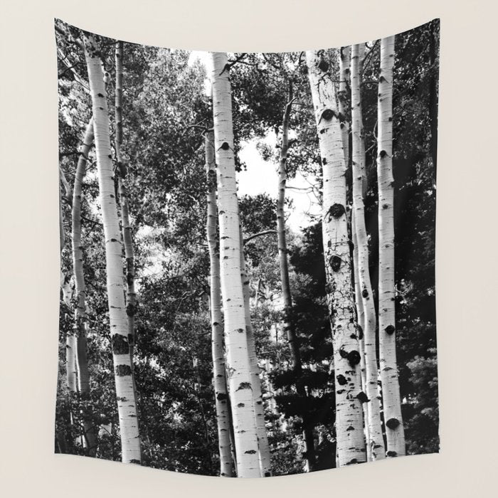 Aspen Forest - Black And White Nature Photography Wall Tapestry Gallery Image 4