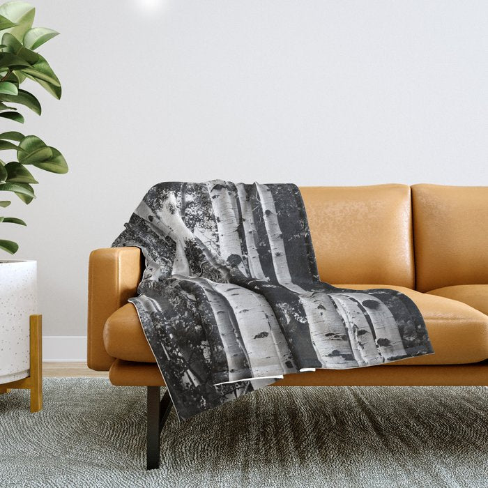 Aspen Forest - Black And White Nature Photography Throw Blanket Gallery Image 1