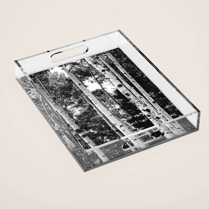 Aspen Forest - Black And White Nature Photography Acrylic Tray Gallery Image 1