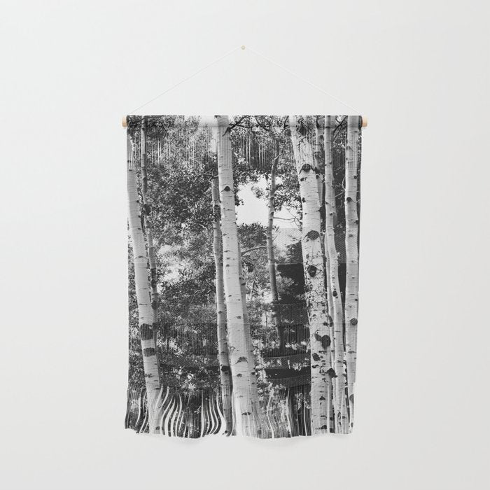 Aspen Forest - Black And White Nature Photography Wall Hanging Gallery Image 1