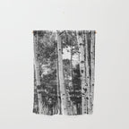 Aspen Forest - Black And White Nature Photography Wall Hanging Gallery Image 1