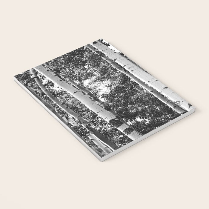 Aspen Forest - Black And White Nature Photography Notebook Gallery Image 3