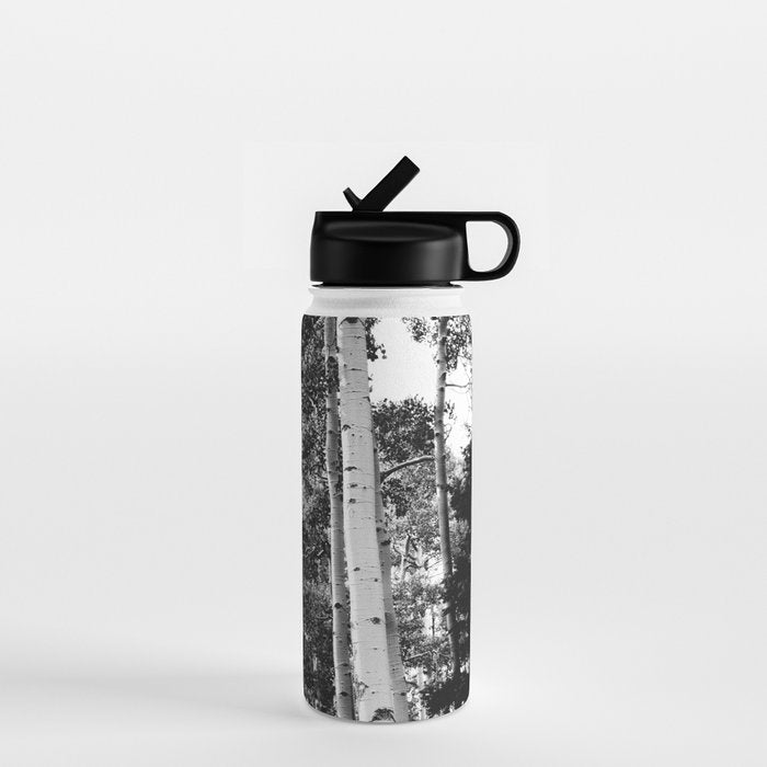 Aspen Forest - Black And White Nature Photography Water Bottle Gallery Image 1