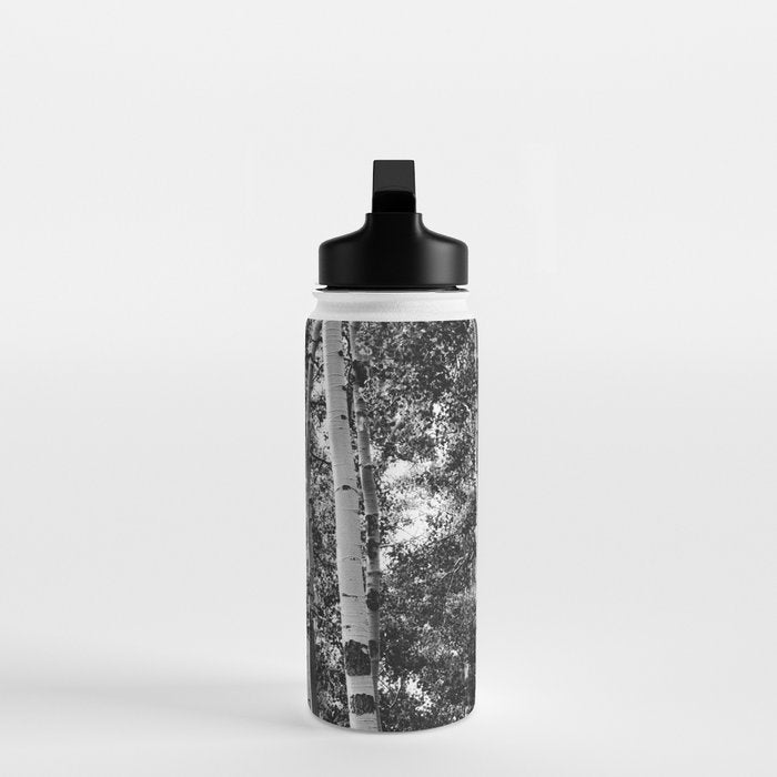 Aspen Forest - Black And White Nature Photography Water Bottle Gallery Image 3