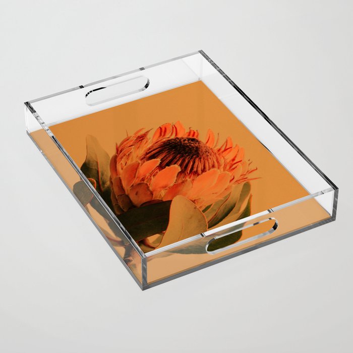 Protea - golden Acrylic Tray Gallery Image 1