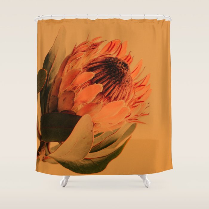 Protea - golden Shower Curtain Gallery Image 1