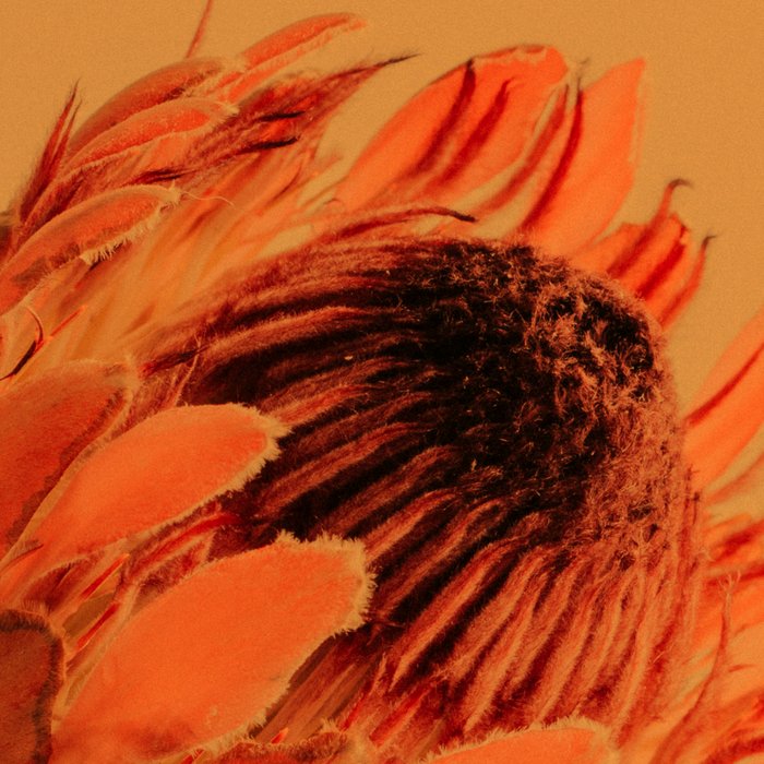 Protea - golden Coffee Mug Gallery Image 2