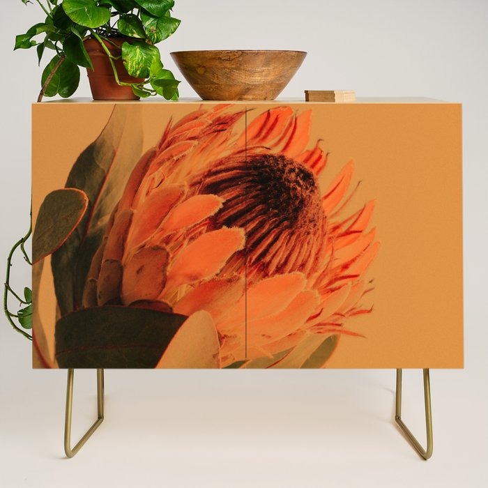 Protea - golden Credenza Gallery Image 1