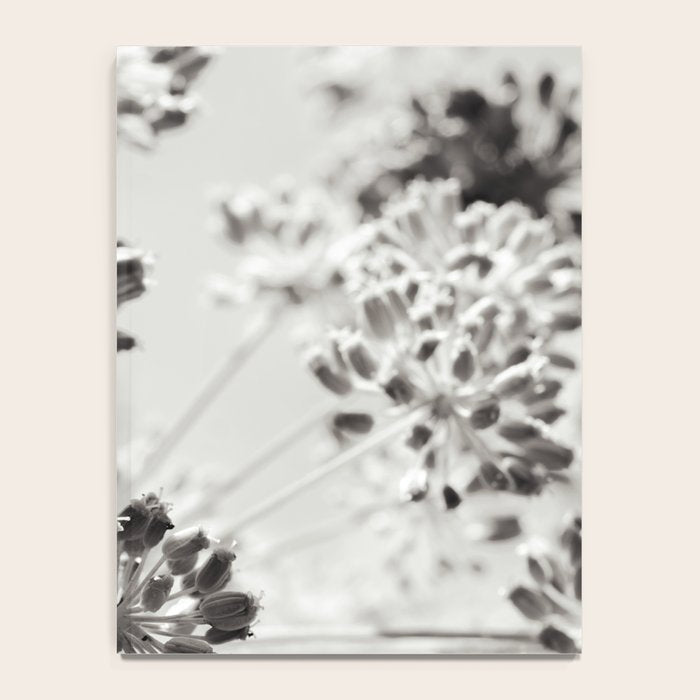 botanical abstract photograph no. 2 - modern black and white floral art Notebook Gallery Image 4
