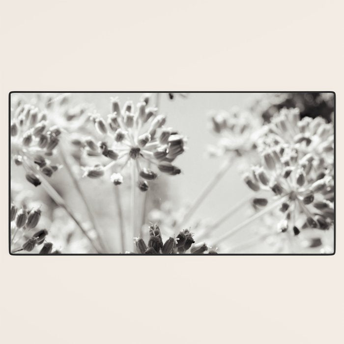 botanical abstract photograph no. 2 - modern black and white floral art Desk Mat Gallery Image 3