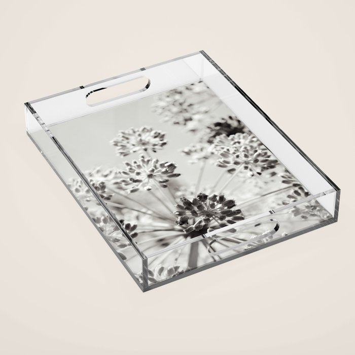 botanical abstract photograph no. 2 - modern black and white floral art Acrylic Tray Gallery Image 1