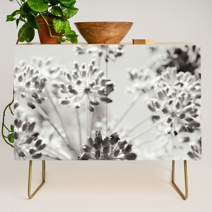 botanical abstract photograph no. 2 - modern black and white floral art Credenza Gallery Image 1