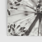 botanical abstract photograph no. 2 - modern black and white floral art Poster Gallery Image 3