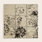 botanical abstract photograph no. 2 - modern black and white floral art Wood Wall Art Gallery Image 1