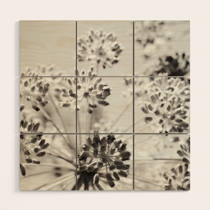 botanical abstract photograph no. 2 - modern black and white floral art Wood Wall Art Gallery Image 1