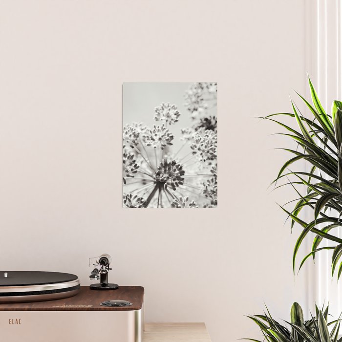 botanical abstract photograph no. 2 - modern black and white floral art Poster Gallery Image 2
