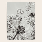 botanical abstract photograph no. 2 - modern black and white floral art Poster Gallery Image 4