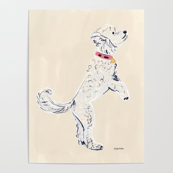 White Poodle  Poster Gallery Image 4