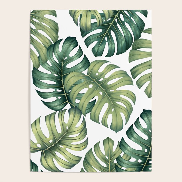 Monstera botanical leaves illustration pattern on white Poster Gallery Image 4