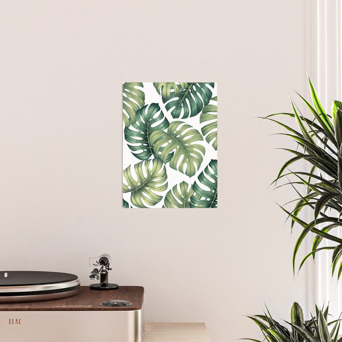 Monstera botanical leaves illustration pattern on white Poster Gallery Image 2