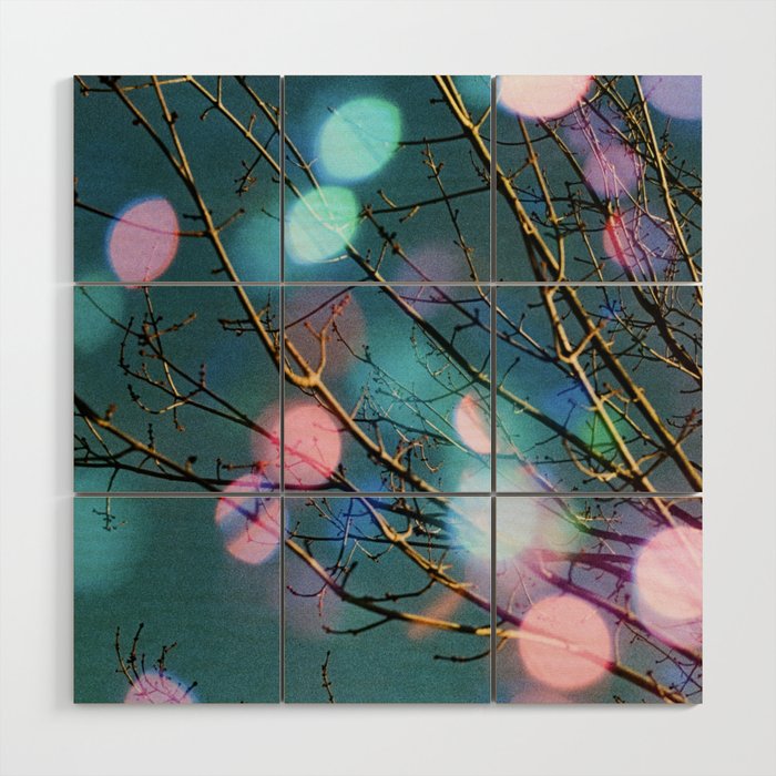 Contradiction Wood Wall Art Gallery Image 1
