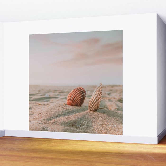 seashells ii Wall Mural Gallery Image 2