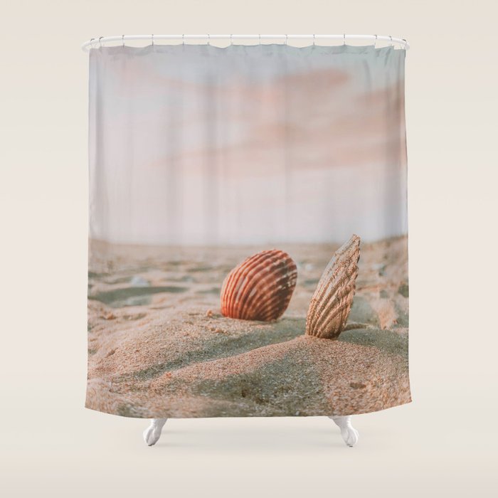 seashells ii Shower Curtain Gallery Image 1