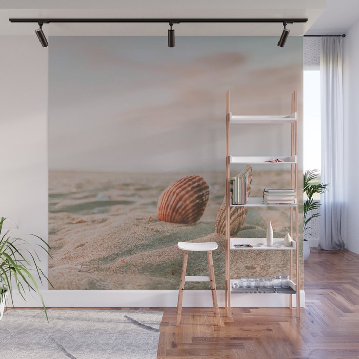 seashells ii Wall Mural Gallery Image 1