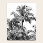 Big Island Palms - Black and White Photography, Tropical Nature Notebook Gallery Image 4