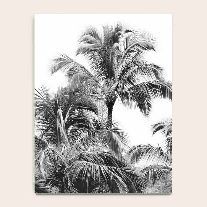 Big Island Palms - Black and White Photography, Tropical Nature Notebook Gallery Image 4