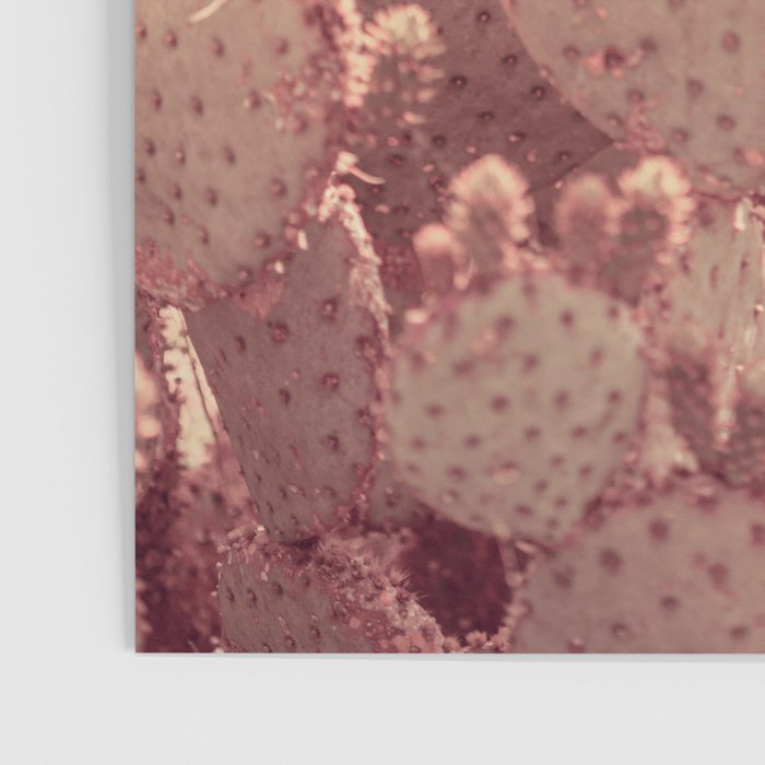 Rose Gold Cactus Poster Gallery Image 3