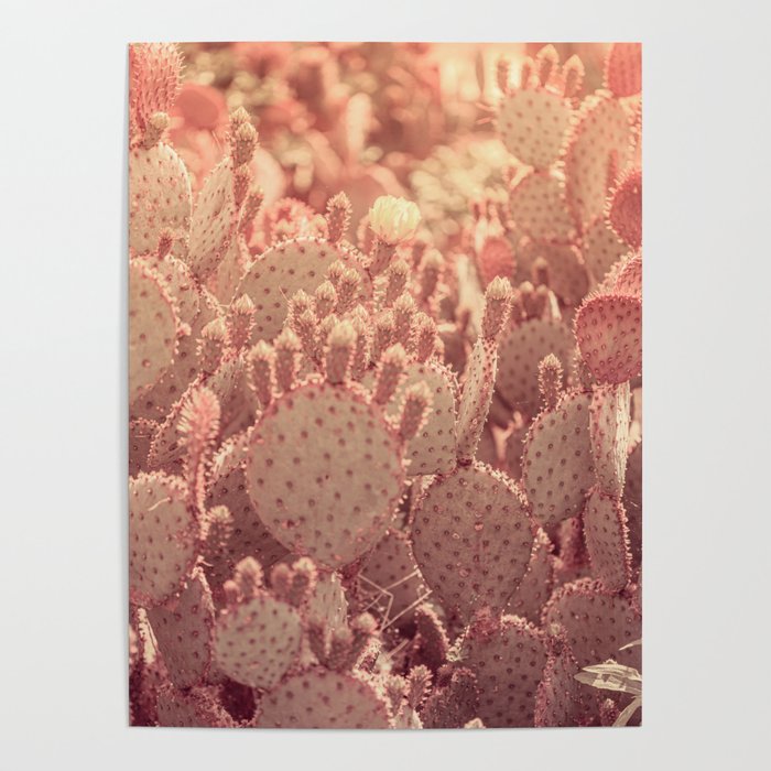 Rose Gold Cactus Poster Gallery Image 1