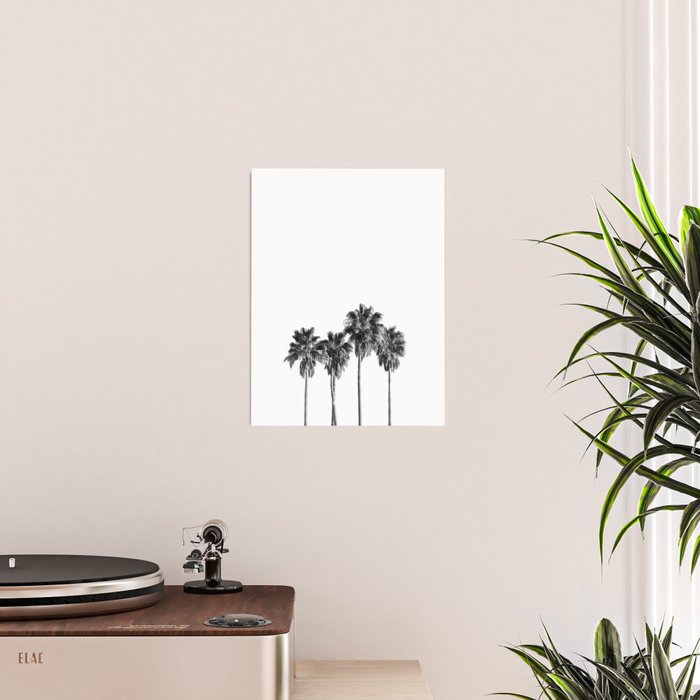 Palm trees 3 Poster Gallery Image 2